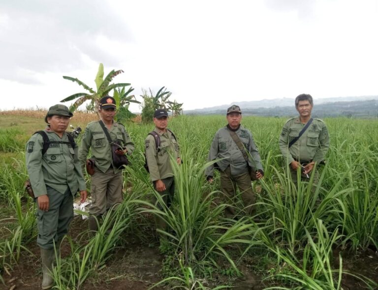 WhatsApp-Image-2025-09-12-at-09.07.521