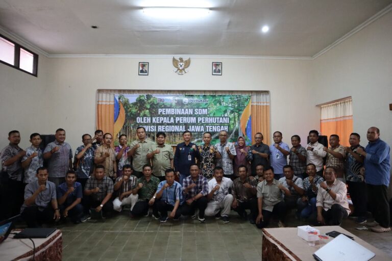 WhatsApp-Image-2025-09-25-at-12.06.08_aa9b3b3f-4