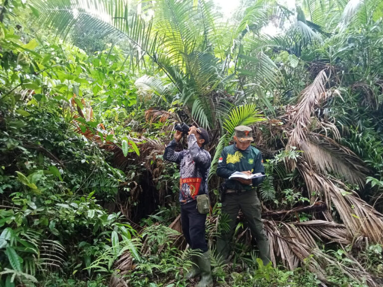 DeWatermark.ai_1761722874361