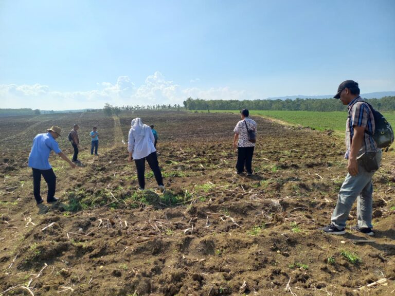 WhatsApp-Image-2025-10-03-at-10.28.22-2