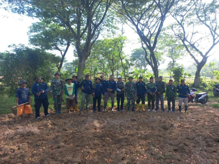 WhatsApp-Image-2025-10-04-at-10.16.21