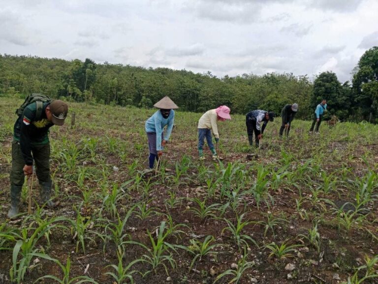 WhatsApp-Image-2025-10-25-at-10.53.04