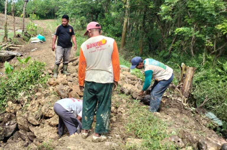 WhatsApp-Image-2025-10-25-at-15.05.50