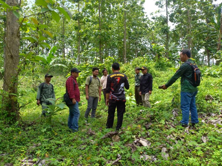 WhatsApp-Image-2025-10-30-at-18.55.14