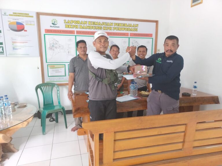 wmremove-transformed7-2