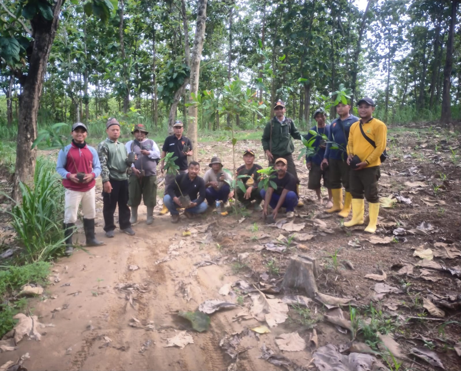 wmremove-transformed8