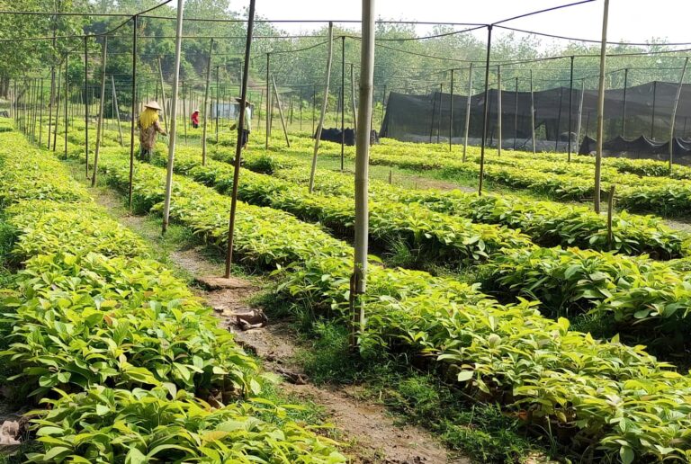 WhatsApp-Image-2025-11-03-at-17.16.00