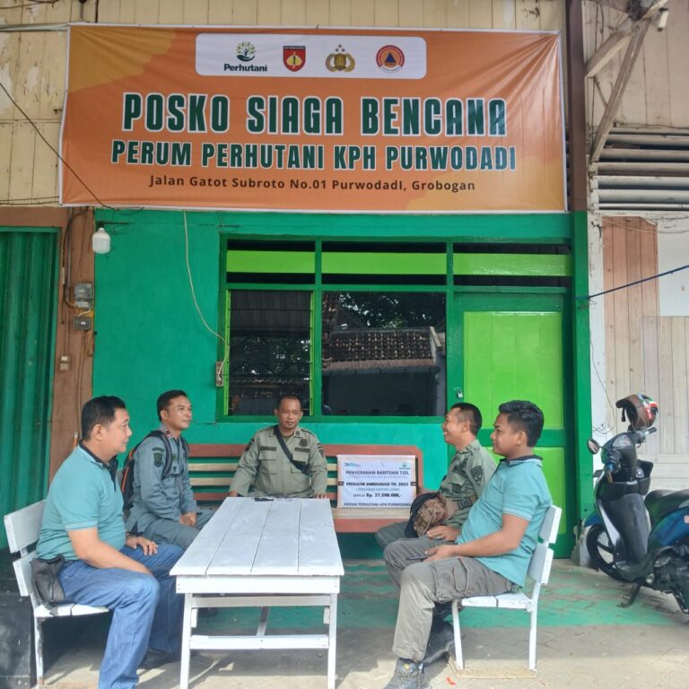 WhatsApp-Image-2025-11-07-at-12.49.15