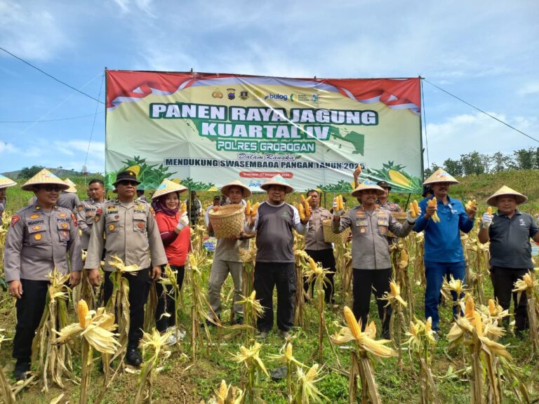 WhatsApp-Image-2025-11-07-at-16.39.57