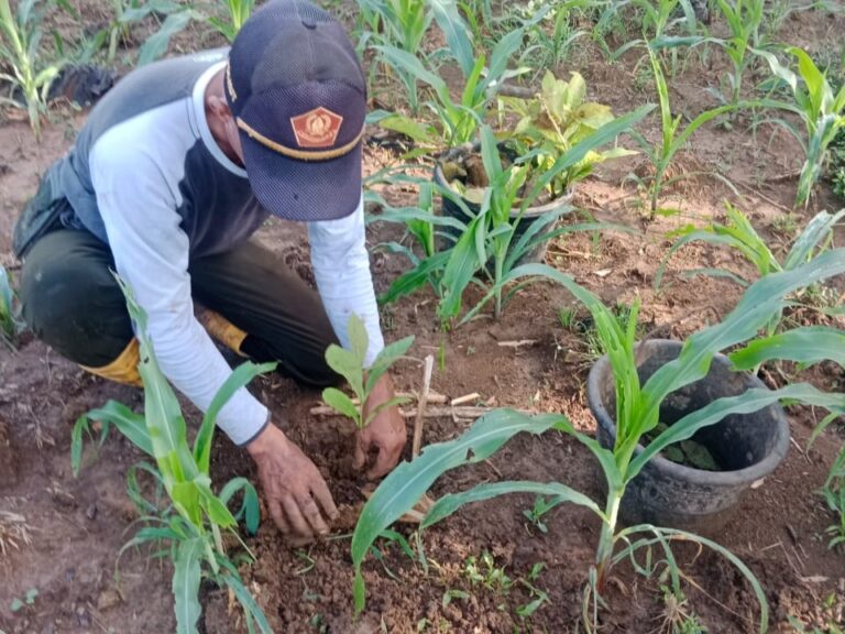 WhatsApp-Image-2025-11-09-at-11.21.22