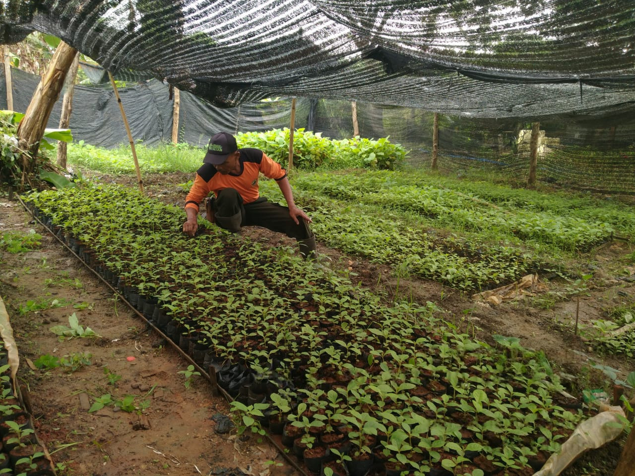 WhatsApp-Image-2025-11-12-at-17.10.411