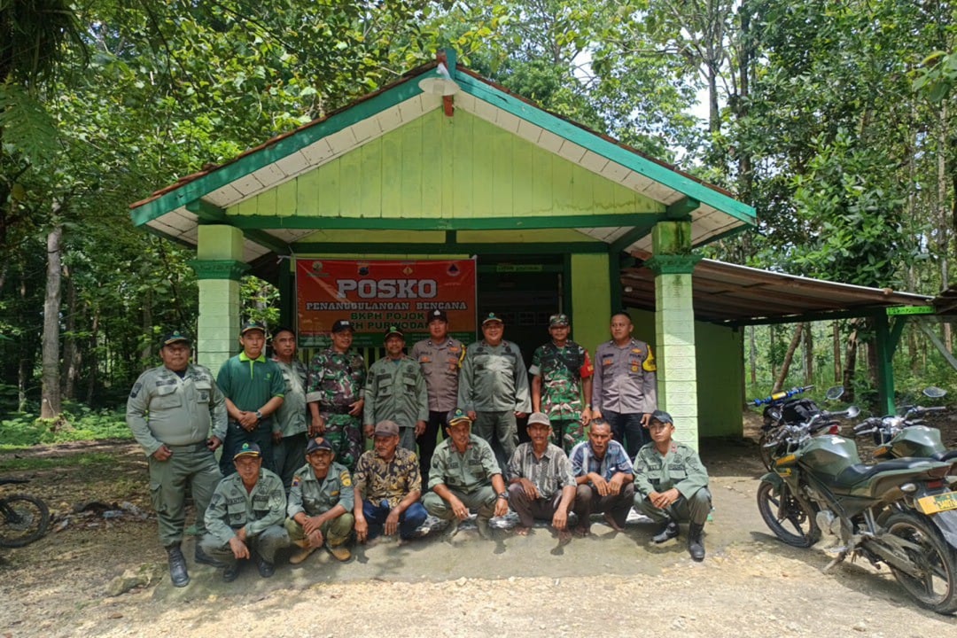 wmremove-transformed11-3