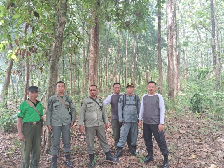 wmremove-transformed14