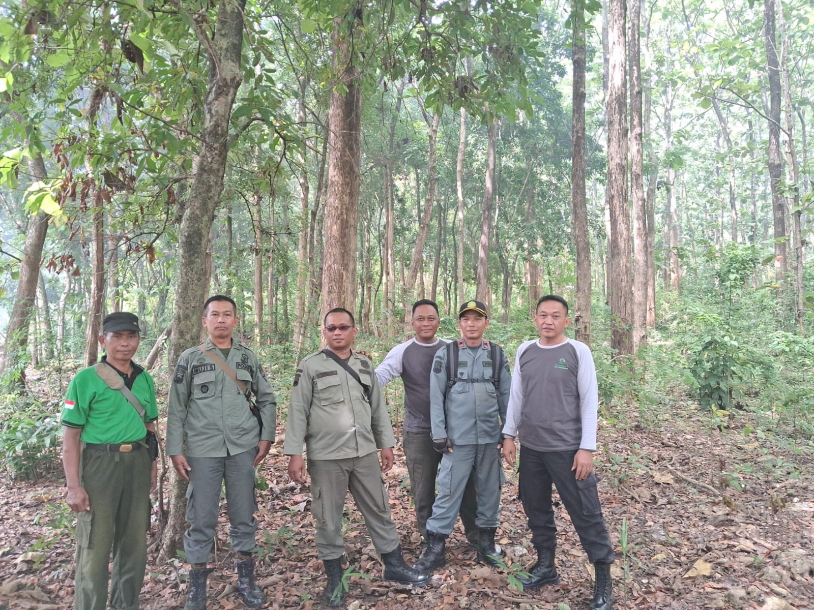 wmremove-transformed14