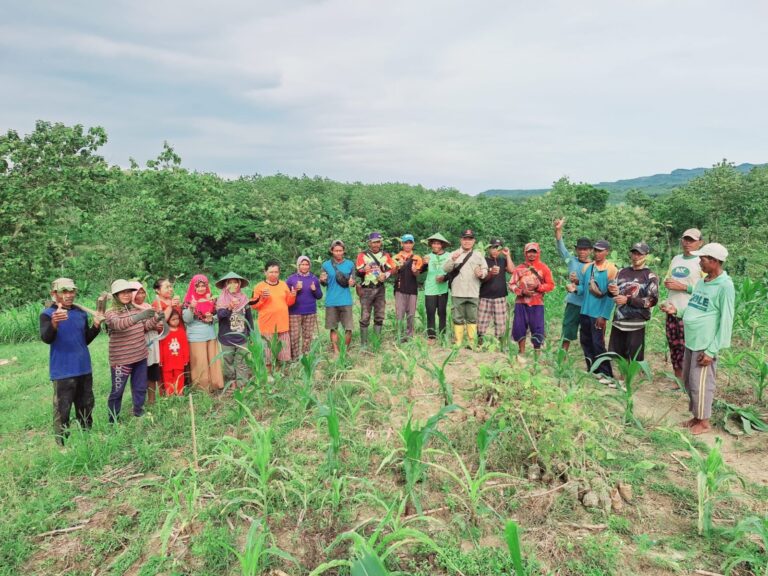 wmremove-transformed15