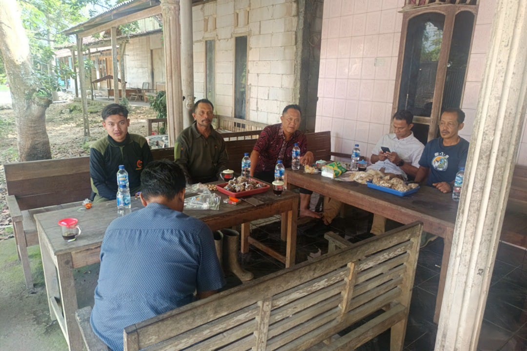 wmremove-transformed18