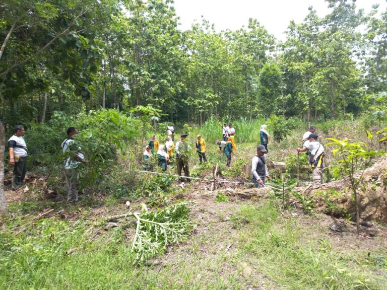 wmremove-transformed2