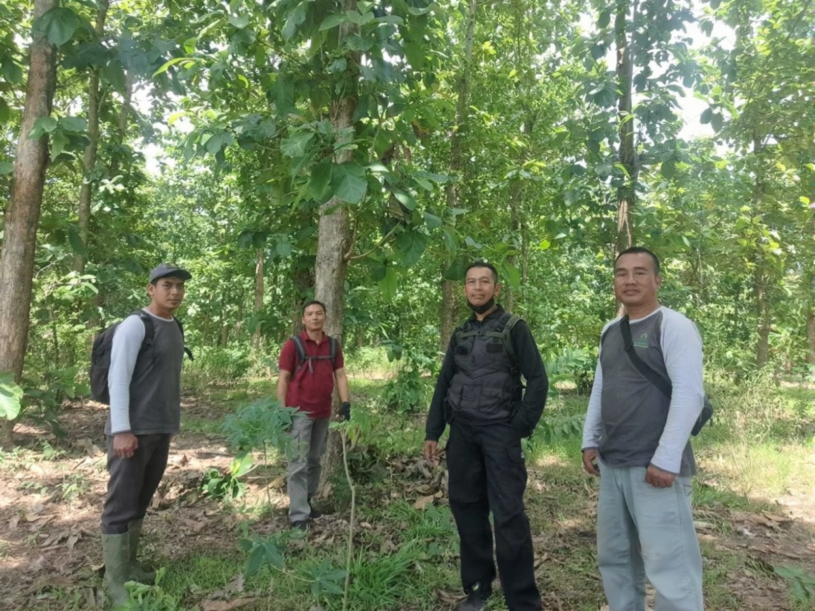 21c53366-ee37-44f1-b535-a9b8dbab8d2b