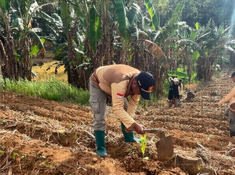 96ca0beb-1b9a-4f9c-aa4e-fdc949048c98_0