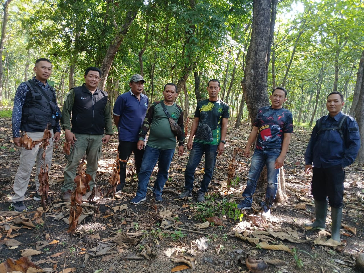 WhatsApp-Image-2025-12-03-at-15.21.161