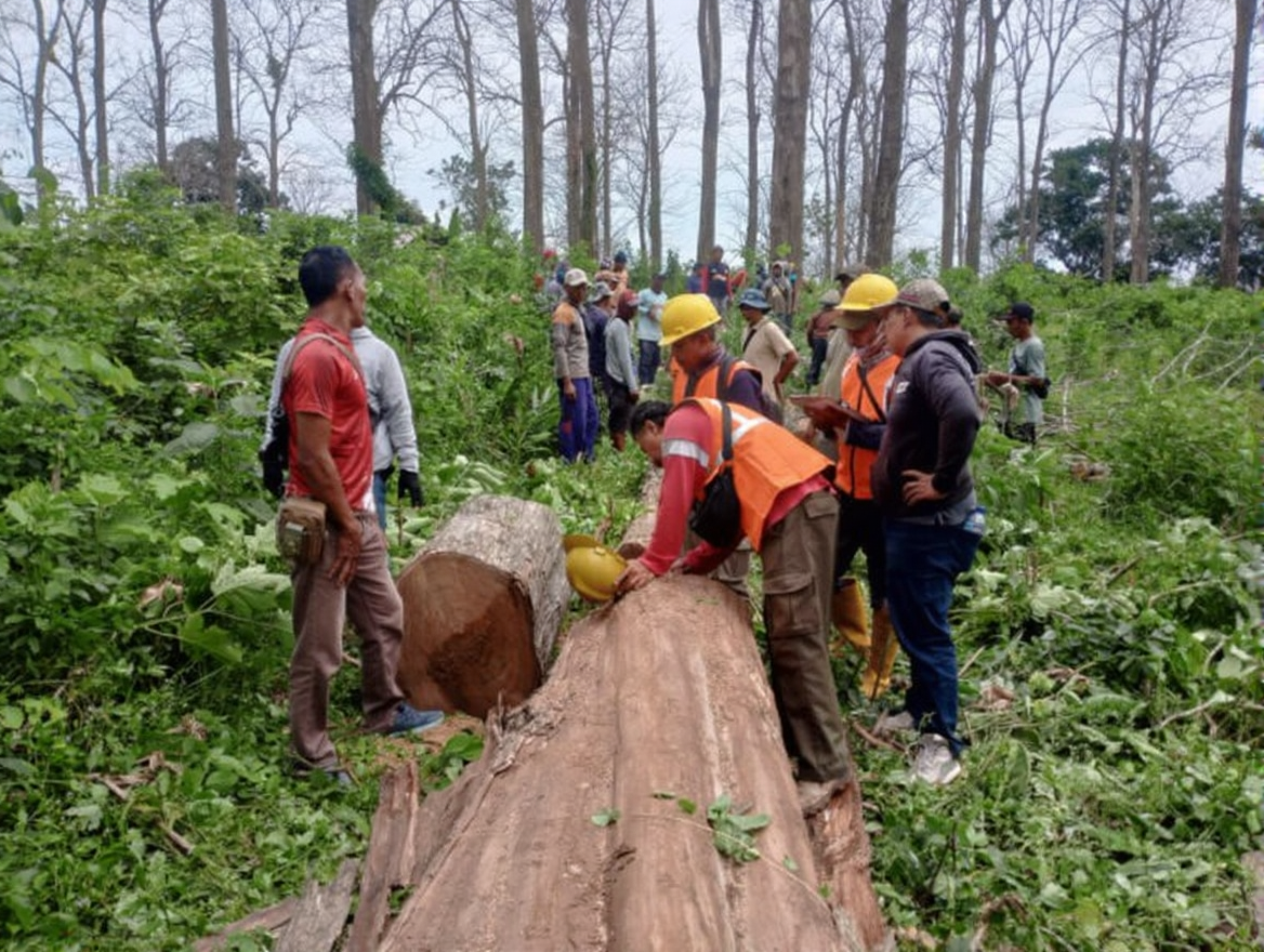 0j5ptawn0drmy0cvhmwt17f924